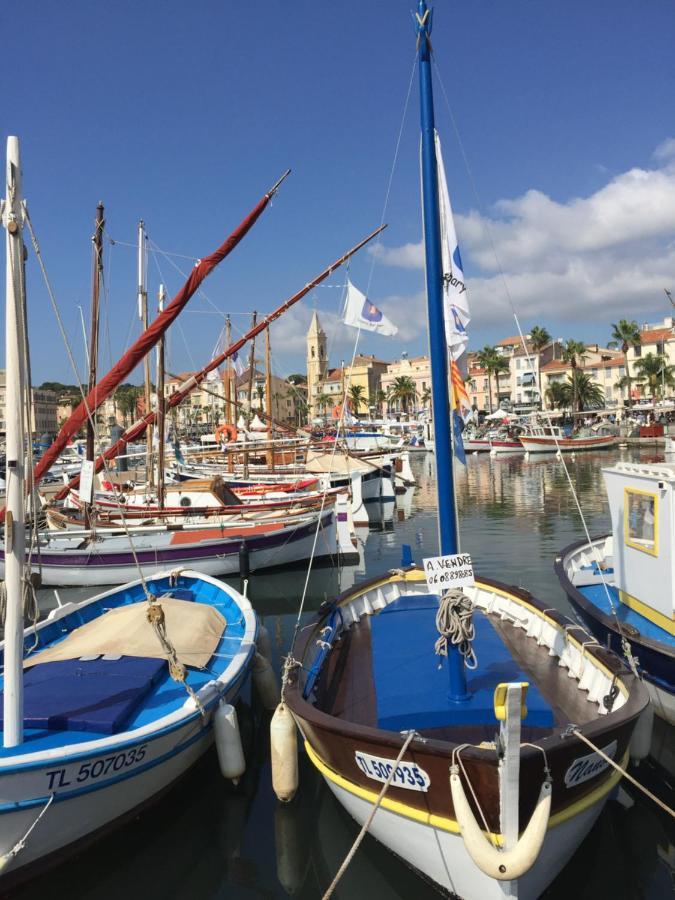 Superbe Studio Sur Le Port Et Rue Pietonne ซานารี-ซูร์-แมร์ ภายนอก รูปภาพ